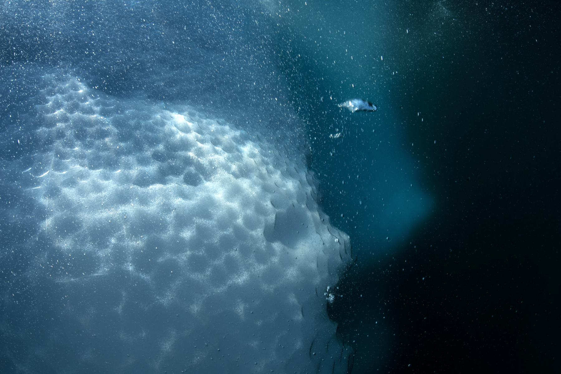 Hielo contra el agua oscura
